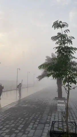 #capcut #instagram #tiktok #كورنيش_شط_العرب #البصرة #ضباب #مدينة_البصرة #الضوئية 