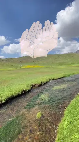 حفظكم الله فوق كل أرض وتحت كل سماء 