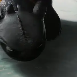 this eye's #httyd #howtotrainyourdragon #toothless #toothlessedit #nightfury #viral #fy 