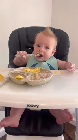 Eggs, yogurt, and pears! 🥚🍐  #blw #babyledweaning #babyfood #babies #baby #babieseating #babymukbang #mom #momtok #MomsofTikTok #momlife 