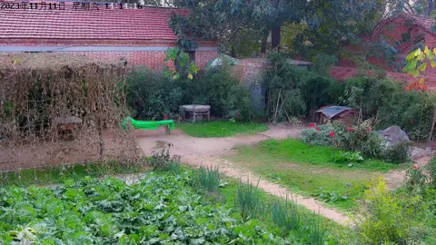 A month's difference in the courtyard, light snow is suspended, and a blizzard is approaching#traditionalcrafts #inherited #creativehandmade #Intangibleculturalheritage #carpenter