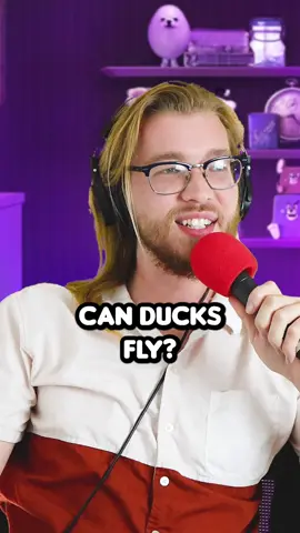 Ducks can't fly