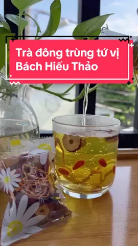Trà đông trùng tứ vị giúp bồi bổ cơ thể, trà thảo mộc Bách Hiếu Thảo#bachhieuthao #trathaomoc #tradongtrung 