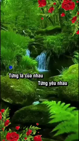 Những Bài Hát Karaoke Hay Trên TikTok#tiktokvietnam #traimientay 