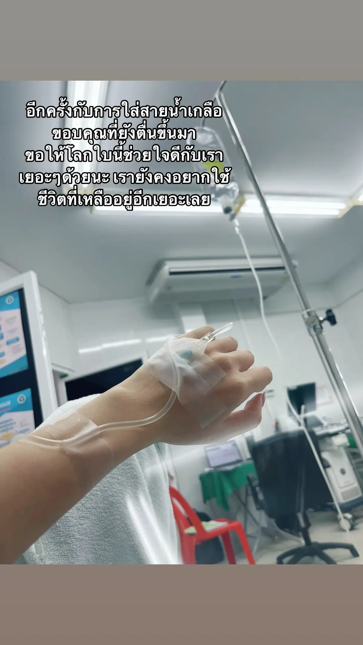 โลกยังคงสวยงาม จงตื่นขึ้นมามองโลกทุกเช้านะเบล🐻🤍