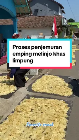 Proses penjemuran emping melinjo limpung#emping #empingmelinjo 