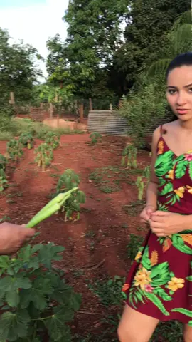 #fyp #gemeas #vidanaroça 