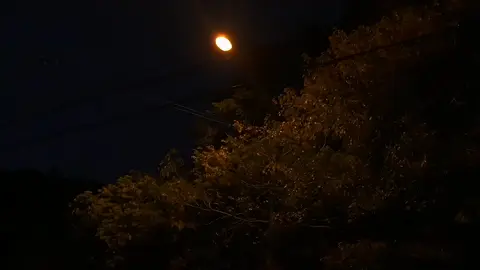 @duathu1..không sao mà, em đây rồi. #foryou #xuhuong #story #daivy95