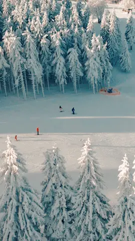 Szukacie zimy? 𝗪𝗶𝗲𝗺𝘆, 𝗴𝗱𝘇𝗶𝗲 𝗷𝗲𝘀𝘁! ❄️❄️❄️ Jeśli marzycie o śnieżnych feriach zimowych i chcielibyście trochę pojeździć na nartach lub snowboardzie, koniecznie zarezerwujcie ferie zimowe w naszym hotelu i wyskoczcie na stoki Zieleniec Sport Arena 🏂⛷ Tutaj śniegu jest pod dostatkiem i nawet, gdy w mieście śniegu braknie, Stacja Narciarska Zieleniec jest przygotowana! 😎 Zobaczcie sami jakie warunki ostatnio tam trafiliśmy! 😍 Chcecie zobaczyć je na własne oczy i doświadczyć 𝘇𝗶𝗺𝘆 𝘄 𝗻𝗮𝗷𝗹𝗲𝗽𝘀𝘇𝘆𝗺 𝘄𝘆𝗱𝗮𝗻𝗶𝘂? Zarezerwujcie feryjny pobyt, przyjedźcie do nas i bawcie się świetnie! 💚💚💚 Chcecie poznać ofertę ferii zimowych 2024? Skontaktujcie się z naszym działem rezerwacji! 🥰 📞+𝟰𝟴 𝟳𝟰 𝟴𝟲𝟵 𝟳𝟳 𝟲𝟬@zieleniecpl   📧 𝗿𝗲𝘇𝗲𝗿𝘄𝗮𝗰𝗷𝗮@𝘃𝗲𝗿𝗱𝗲𝗺𝗼𝗻𝘁𝗮𝗻𝗮.𝗽𝗹 #kudowazdroj #hotelverdemontana #zieleniec #zieleniecskiarena #zieleniecsportarena 