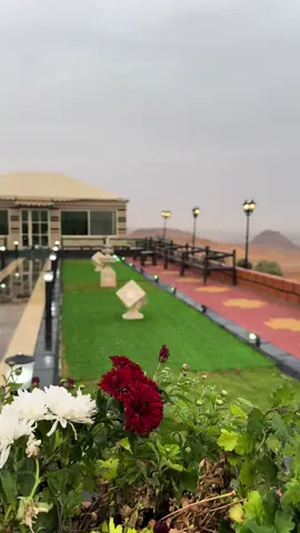 #اكسبلور #CapCut #الجوف_سكاكا 