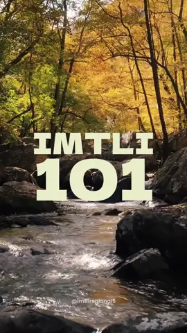 [IMTLI 101] Langkah kecil kita dapat menciptakan perbedaan besar dalam melawan perubahan iklim. Mari berbagi tips dan inspirasi untuk menjaga Bumi kita bersama-sama! 🌍💪  #imtli #imtliregional5 #imtliadaptif #imtli101 