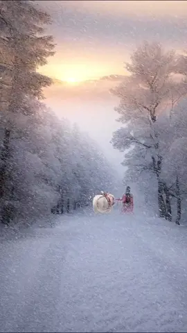 If we can enjoy the snow together today, we will have a white head together in this life.🌨❄️#scenery #beautiful #snow #tiktok #fyp #natureathome #recommendations 