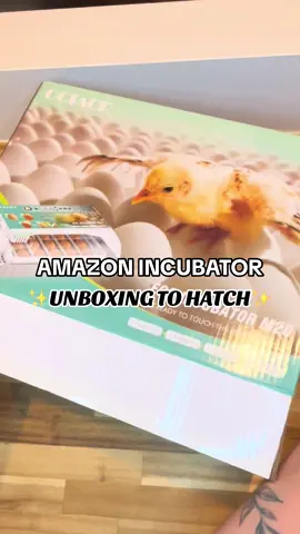 Another personal favorite incubator off Amazon to hatch baby chicks! Can you believe this one maintains the perfect humidity levels the entire incubation process without me adding any water the entire time?! #linkinbio #babychicks #chickensoftiktok #chickens #crazychickenlady 