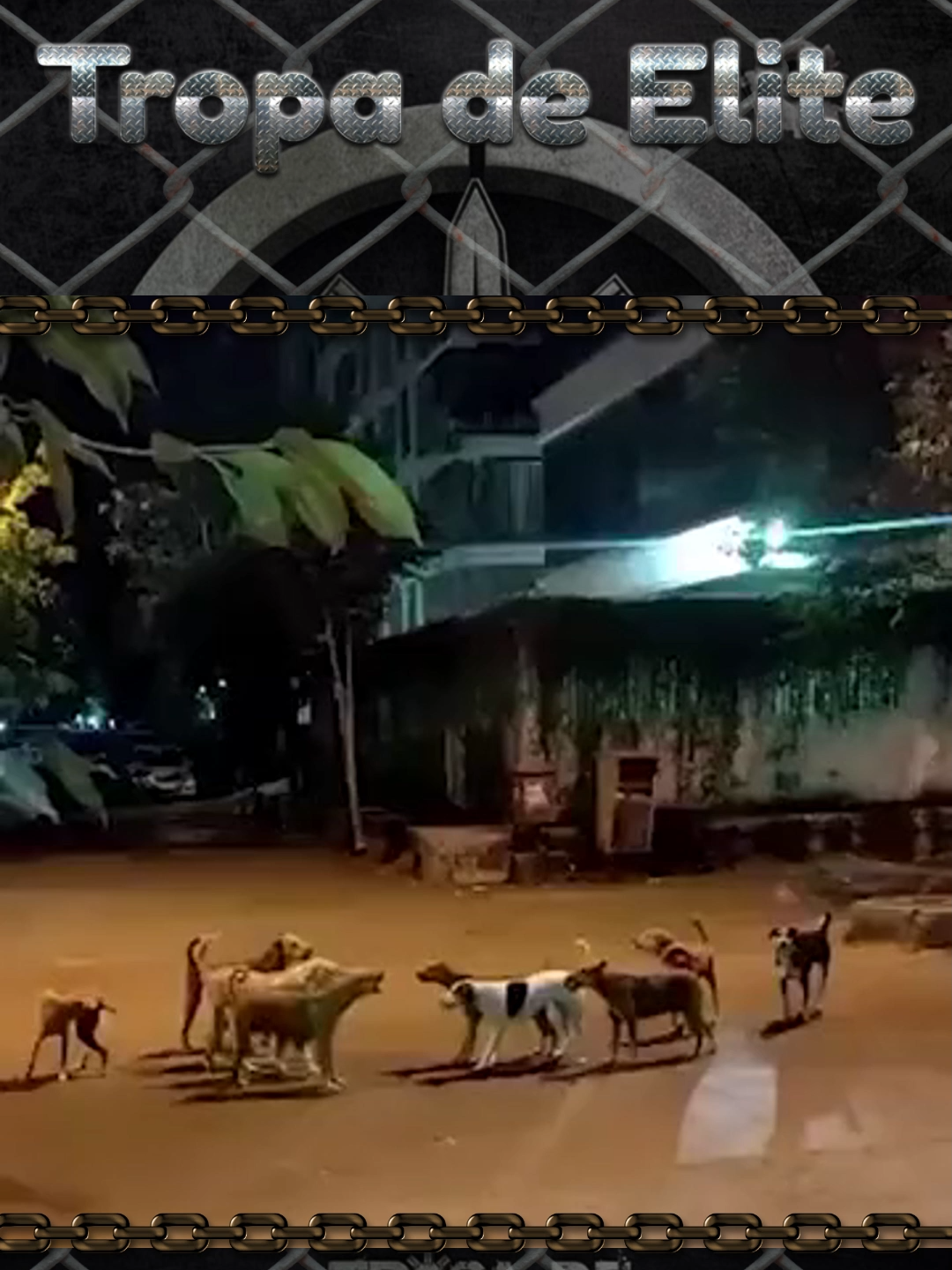 Tropa de Elite #tropadeelite #cachorros #latindo #dog #caes #meme