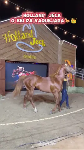 HOLLAND JECK O REI DA VAQUEJADA🐎👑 #vaquejada #vaqueiro #hollandjeck #x1aovivo 