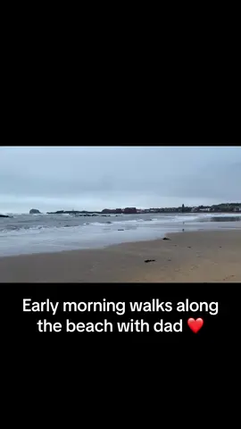 Love our ealy morning walks to the beach especially on windy stormy days #digby #mabel #englishbulldog #morningwalks #beachwalks #eastlothianbeach 