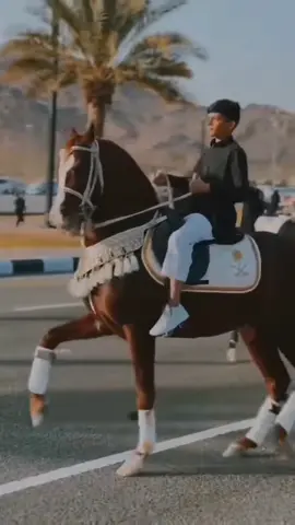 #دويتو مع @عزّة🐎 #جيش_الخيل🔥 #حصان #حصان_عربي_أصيل #الحصان_الابيض #الحصان #عربى #رقص_حصان#fyp #foryou #fyp #explor #tiktok #اكسبلور #تيك_توك #علاج_بالاعشاب 