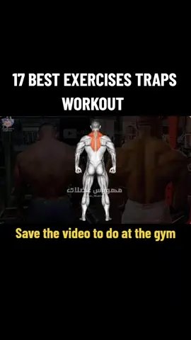@GymMonster  17 Best Exercises Traps Workout  #treino #gymmotivation #gymtok #bodybuilding #fitness #workout #exercise #gym #academia #musculação #trapezius #back #traps 