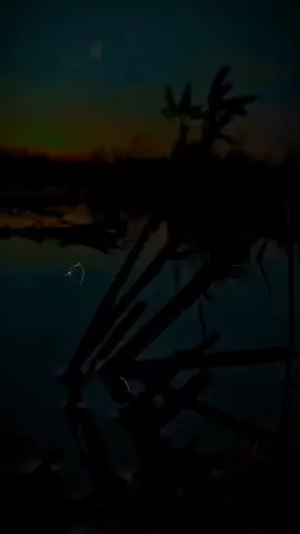 El Perdedor - Marco Antonio Solís & Enrique Iglesias                          #LosMejores_Éxitos                          #sólo❤románticos.                                 #Letras✍️ #Canciones🎵                         #Para💘dedicar                                    #Lovemusic_77classic 