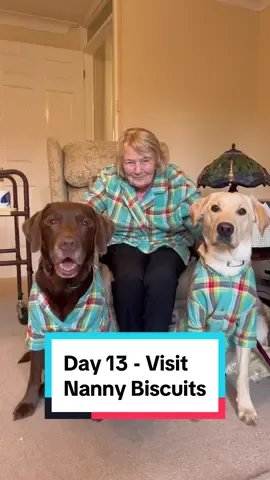 Nanny always knows best! 🍪