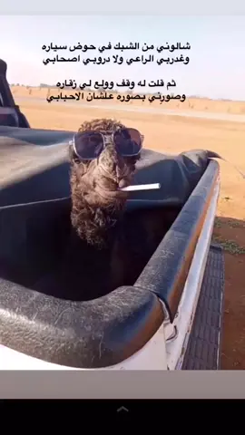 #اشعب_اصيني_مال_حال😹💔 