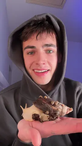 MY PET SNAIL HAD HUNDREDS OF BABIES! 🐌😭