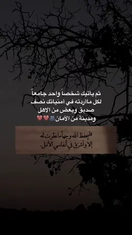 #اكسبلور  