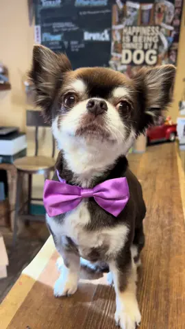 cant even be real😭