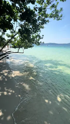 Mũi Hàm Rồng - Phú Quốc 🌊🌊🌊  ! Một trong những bãi biển hoang sơ đẹp nhất Việt Nam #dulich #phuquoc #thinhhanh #trending #xuhuong #ghiendibien 