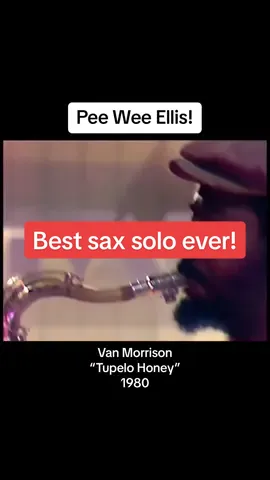 Van Morrison singing “Tupelo Honey” with an incredible solo by Pee Wee Ellis. Montreux 1980. Also including Mark Isham, John Allair, Jef Labes, John Platania, David Hayes, Dahaud Shaar, Peter Van Hooke. . #vanmorrison #peeweeellis #tupelohoney #sax #tenorsax #saxsolo #jazz #jazzisdead #amazingmusic #vantheman #montreuxjazzfestival @Jason Marsalis 