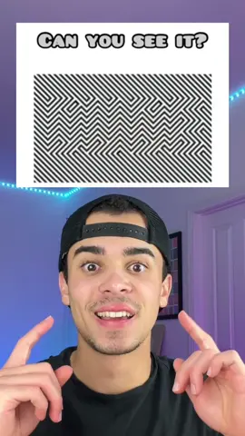 Can you see the hidden word?