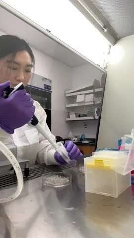 just coating some plates with collagen today bc my cells die without them #womeninstem #biotech #biotechtok