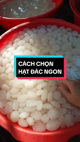 cách chọn hạt đác đây nhé #hatdacngon #hatdacdeo #hatdactuoi #botdaudolongkhanh #monngontainha 