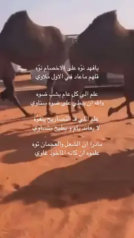 سمو الشعل🔥 ,                                                    #foryoupage      #سمو       #مهرجان_الملك_عبدالعزيز_لمزاين_الابل8     #فارس_الحشار    #العجمان 