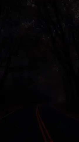 🎵 Betapa Aku Mencintaimu 🎤 Vagetoz  || @f022_02 ||  #vagetoz #betapaakumencintaimu #liriklagu #lirik #lyrics #fyp #foryou #masukberanda #girlsmusic88 #creator_lampung2 #lampung #tiktokindonesia 