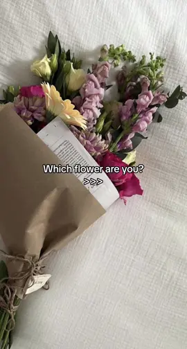 #fyp #tipaccount #foryoupage #askyourfriends #askyourfriendswhichoneyouare #askyourfriends #foryou 