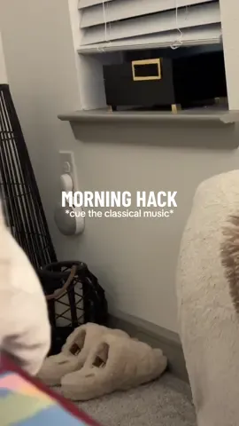 Replying to @Denise here you go beautiful 🤍✨ #wellnesshack #hatchalarmclock #cheaphacks #wellnesstips #wellwithkl 