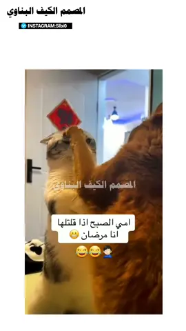 #مضحكة😂😂😂جداً #الكيف_البناوي #اكسبلورexplore #اضحك_وانسى_همك #مضحك #مقاطع_مضحكة😂جداً #تحشيش_للضحك😂 #مضحكه_جدا_كوميدية😅😂🤭💔 #الشعب_الصيني_ماله_حل😂😂 #تحشيش_عراقي_للضحك #ضحك_وناسة #سورية_العراق #السعودية_الكويت_مصر_العراق_لبنان #funny #laugh #funnyvideos #laughed #lol #comic #laugh 