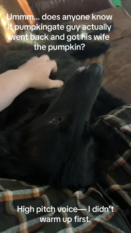 #pumpkingate #seriousquestion 