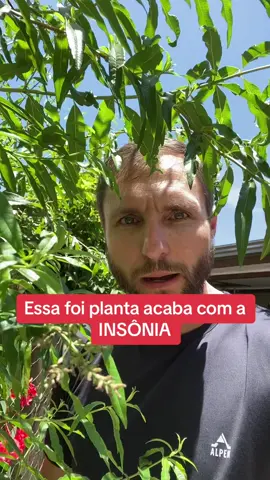 Adeus insônia  #saude #plantas #plantasmedicinais 