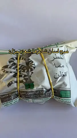 #fyp #الرياض #الخرج #رياكشنات_مضحكه #تمباكي #الدخل٢ 