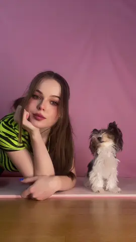 My love @Yukkie_the_Puppy #cute #Love #dog 