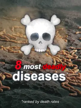 TOP 8 deadliest diseases, by death rates 🔍🦠  1️⃣  Creutzfeldt-Jakob Disease - 100% fatal, with a rapid progression, no cure exists. 2️⃣  Rabies - Nearly 99% fatal once symptoms appear - a vaccine exists. 3️⃣  Anthrax - Varies, but averages around 80%. 4️⃣  H5N1 Avian Influenza - Around a 60% mortality rate. 5️⃣  Mergburg - About 54% case fatality rate. 6️⃣  Ebola - Averages 50%, but can range from 25% to 90%. 7️⃣  Bubonic plague - Varies, but averages around 45%. 8️⃣  Smallpox - Historically, about 30% fatal. 🤔 But remember, these diseases aren't the most common killers globally. The chances of contracting them are relatively low, so there's no need to panic! 💡 What is a prion, anyway? Prions are misfolded proteins that cause rare but fatal neurodegenerative diseases, like Creutzfeldt-Jakob Disease. Unlike bacteria or viruses, they don't contain genetic material but can still cause serious damage to the brain. They are pathogens, meaning they are transmissible. 🎵 Music: GTA IV theme #Science #edit #illness #disease #virus #death #microbiology #biology