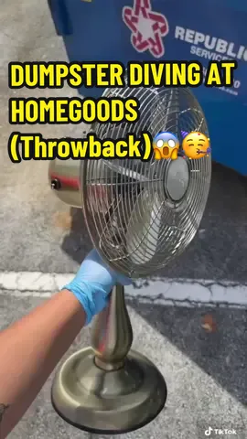 The weather today is not allowing me to go dumpster diving😢 but here is a Throw back when I went Dumpster Diving at HomeGoods and found home decorations!🥳😊👏🏼 #homegoods #homegoodsfinds #fyp #meldidumpsterdive #crazyfinds #dumpsterdiving #dumpsterdiver #haul 
