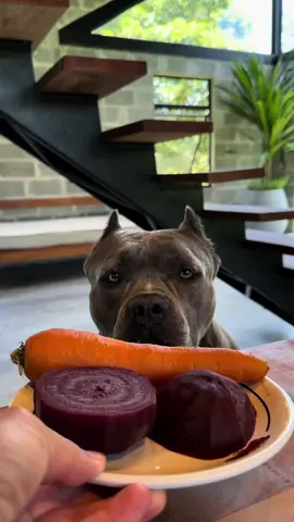 Marmitinha Vegana 😅