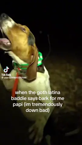 te quiero mami 😓 #f #fyp #fypシ゚viral #viralvideo #trend #funnyy #funnyvideo #goth #latina #meme #memes 