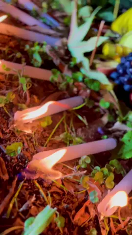 Orio povo cigano🌟⚱️🏆 frente ao cigano do ouro do meu irmão ❤️#povociganos #ciganosdooriente #ciganosumbanda 