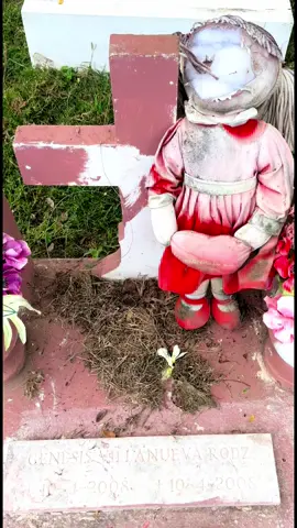 I Couldn’t believe this transformation 🥰 #gravetok #CleanTok 