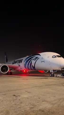 egypt in cgk 🤪 #egyptair #egypt #soekarnohatta #terminal3ultimate #indonesia #foreign #pk #gmfaeroasia #gapura #jas #skyteam #staralliance #oneworldlivery #boeing #boeing787 #boeing787dreamliner 