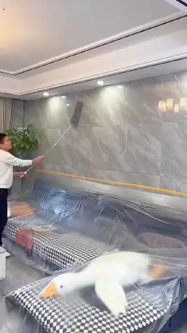 Chỉ bằng 1 cốc trà sữa mà việc nhà nhẹ nhàng hẳn #choiquettran #choiquettrannha #dodungtienich #dogiadung #giadungtienich #giadungthongminh 
